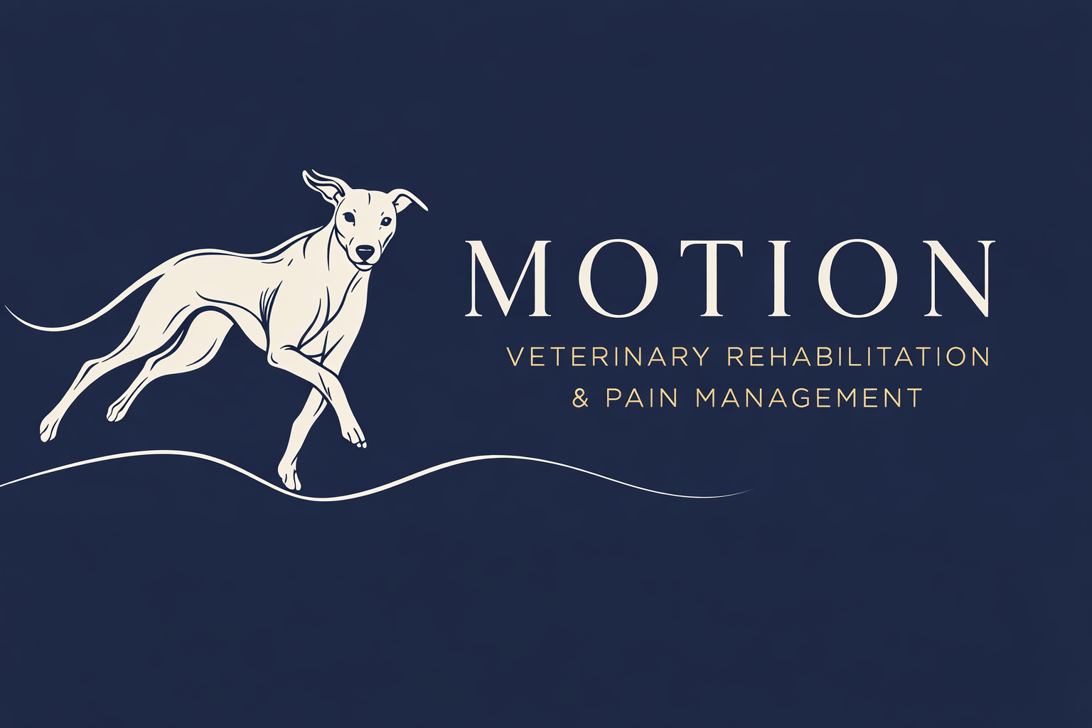 Motion Vet Rehab